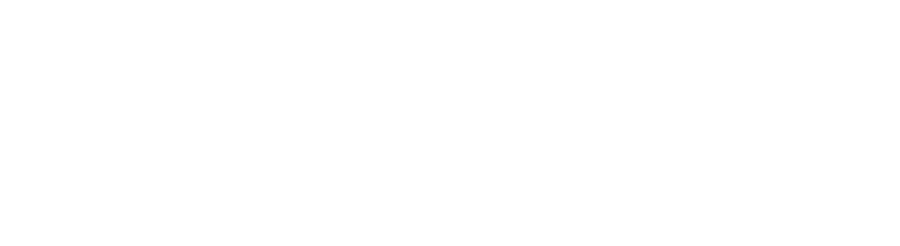 Airport Industry Management Support (AIMS)